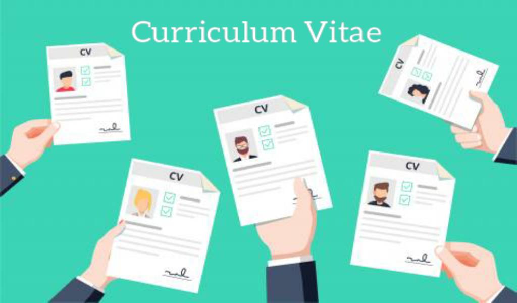 Top Tips for Building a Great Curriculum Vitae