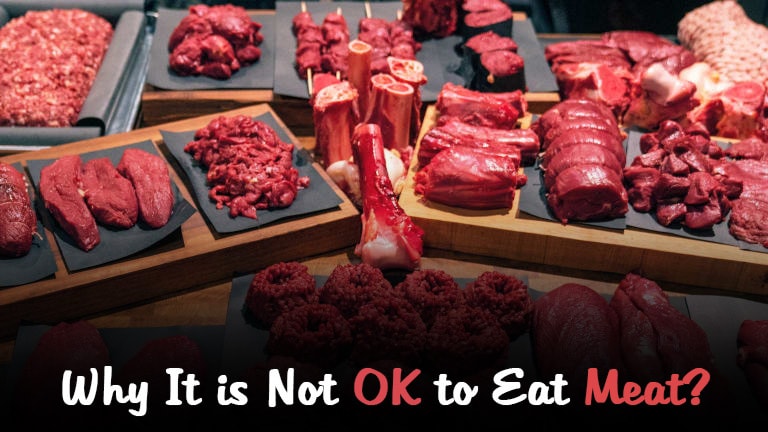 Why It is Not OK to Eat Meat? - DigitalGpoint