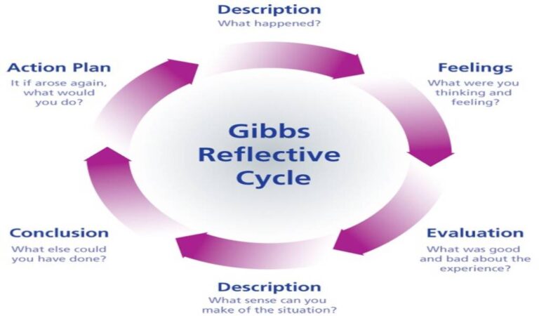 The 6 Stages Of Gibbs Reflective Cycle- A Complete Guide