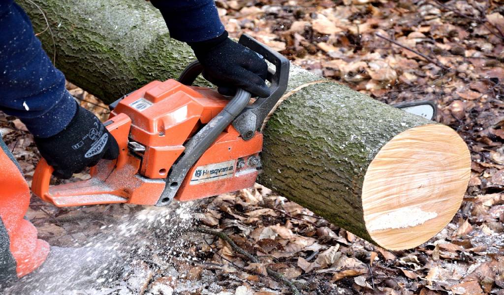 Chainsaw Safely