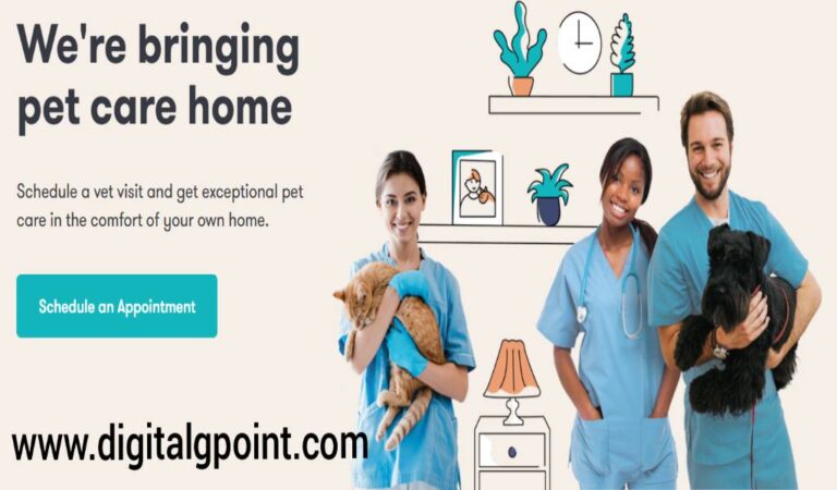 Bring Pet Care to Home With In-Home Pet Care Mobile or Web App like The Vets (Raised $40M)