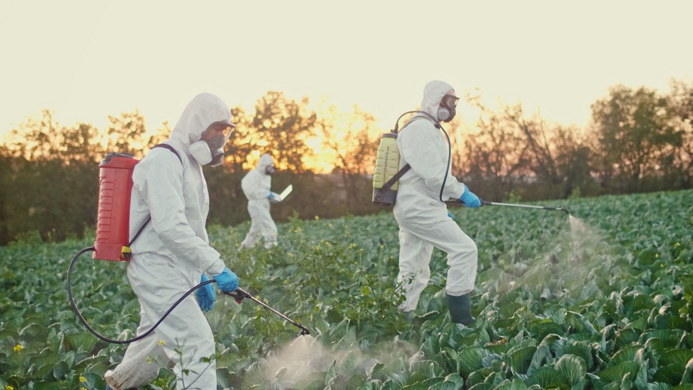 Pest Control Industry