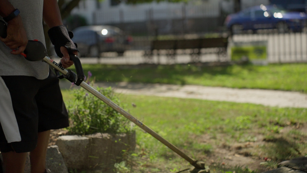 Rising Demand for Lawn Care