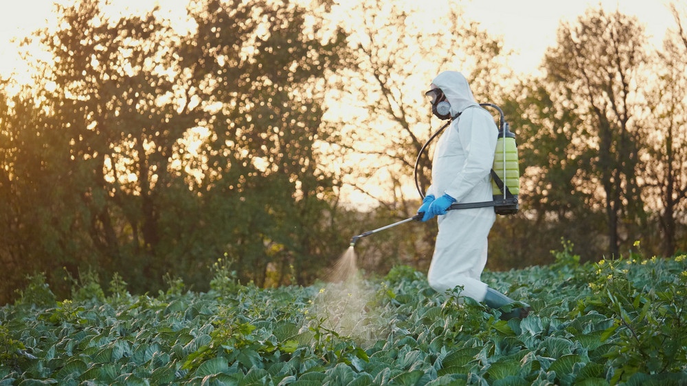 Pest Control Companies